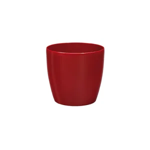 GAT-000682.jpg - Al Bustan Nurseries Co