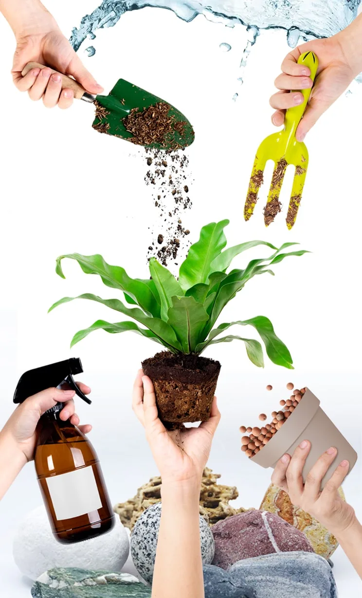 مستلزمات الحدائق