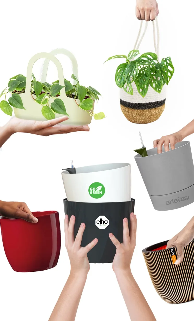 الأحواض الداخلية و الخارجية